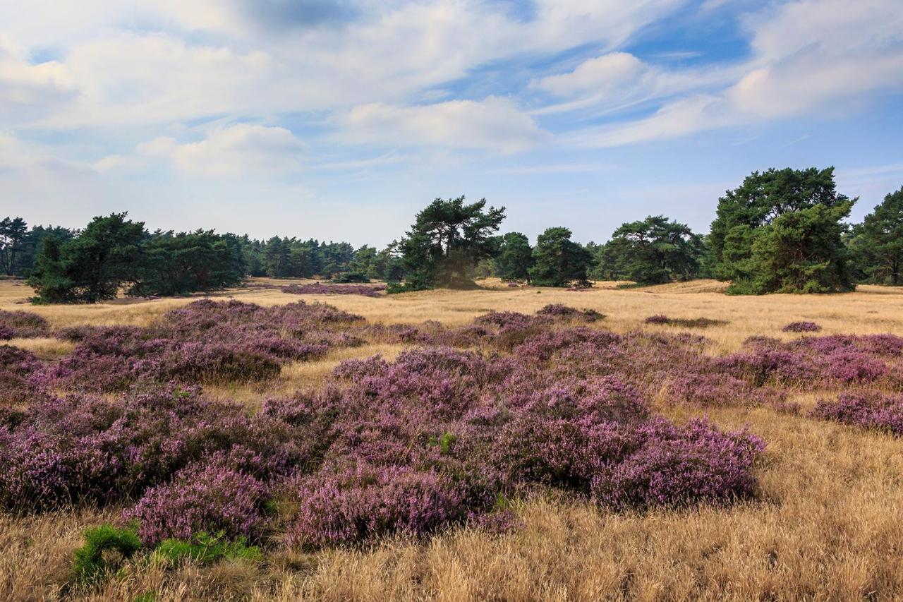 Hotel De Boshoek Voorthuizen Exteriör bild